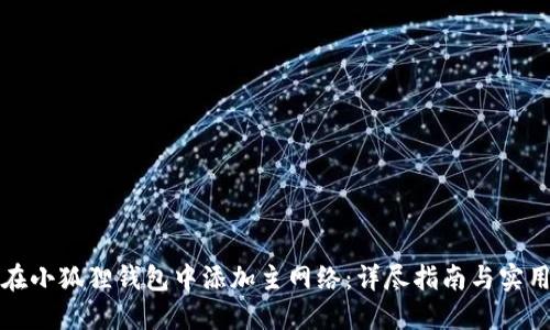 如何在小狐狸钱包中添加主网络：详尽指南与实用技巧